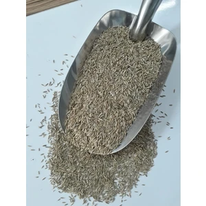 Grass Seed Çim Tohumu 4lü Karışım 500 gr
