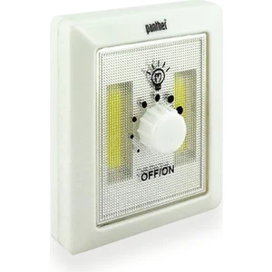 PT-6060 Dimmerli LED Lamba