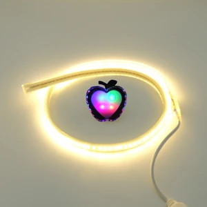220V Şerit LED Hortum 1m LED Hortum, Soket ve Gece Lambası Hediye