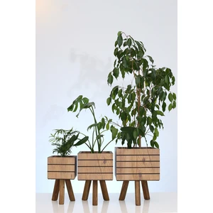 Hakan Mobilya Çam Renk Ahşap Ayaklı Çizgili Kare Model Saksı Seti Dekoratif Çiçeklik Balkon Bahçe Ahşap Saksılık