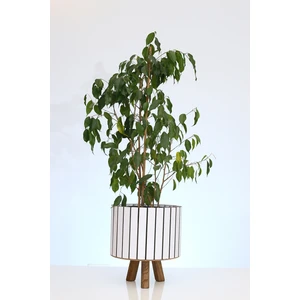 Hakan Mobilya Beyaz Ahşap Ayaklı Yuvarlak Küçük Saksı Dekoratif Çiçeklik Balkon Bahçe Ofis Salon Aksesuarı