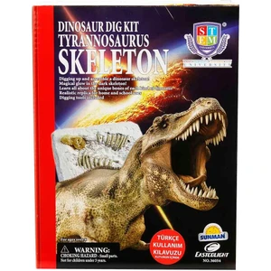 Dinozor Kazma Kiti Tyrannosaurus Iskeleti
