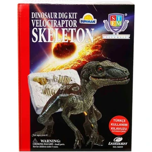 Dinozor Kazma Kiti Velociraptor Iskeleti