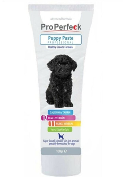 Köpek Malt