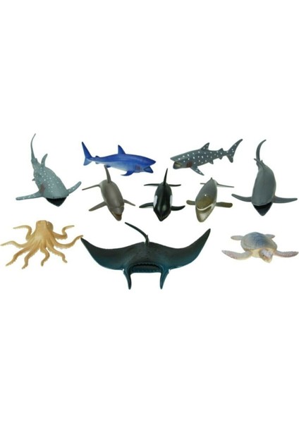 Vardem Kutulu 10 Parça Okyanus Hayvanları