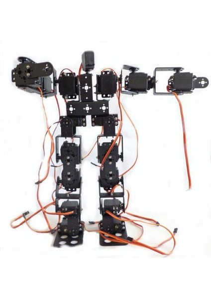 19 Eksenli Insansı Robot - Humanoid Robot