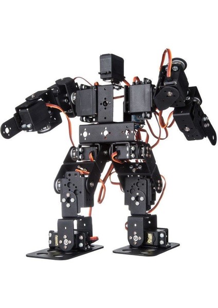 13 Eksenli Insansı Robot - Humanoid Robot