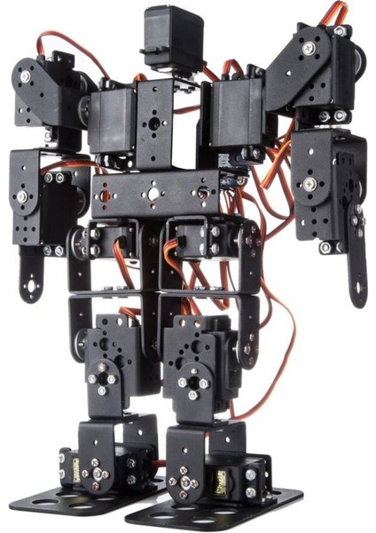 13 Eksenli Insansı Robot - Humanoid Robot