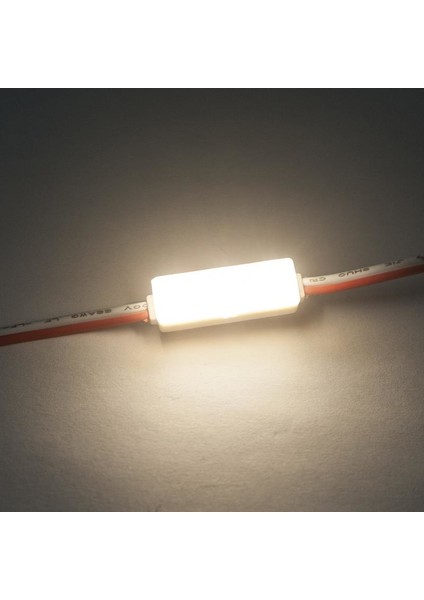 3'lü Mercekli Mini Modül LED - Gün Işığı 12V 0.5W