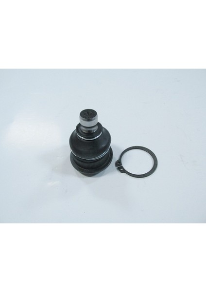 Nissan NOTE- 06/09 ALT ROTİL R/L AYNI (ADET)(SH) fiyatları