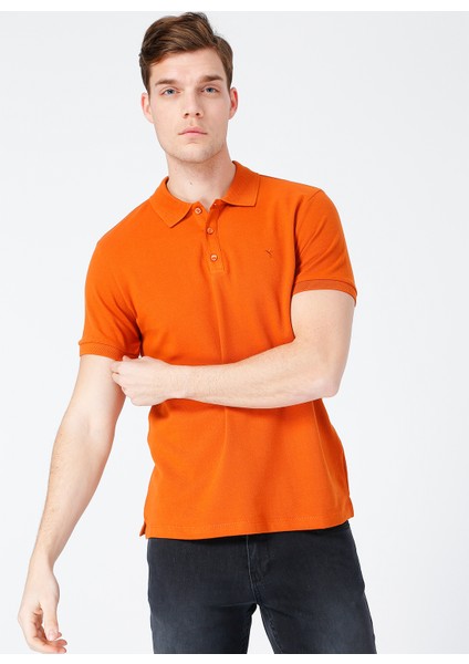 Kiremit Erkek Polo T-Shirt fiyatları