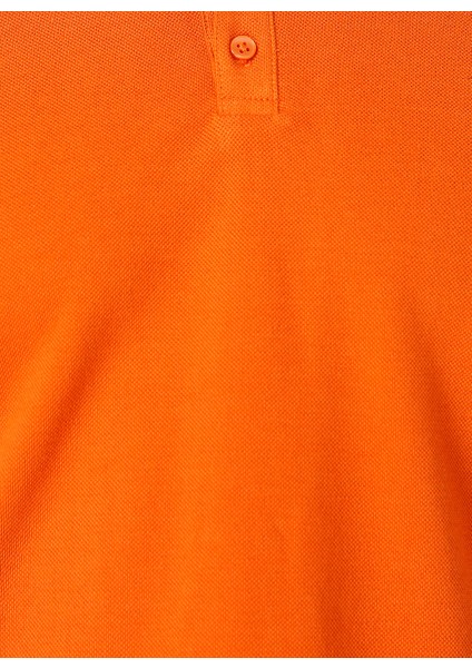 Kiremit Erkek Polo T-Shirt modelleri