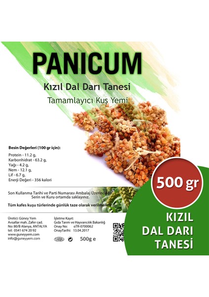 Dal Darı Net Kızıl Dal Darı Tanesi 500 gr Panicum