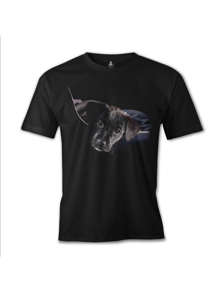 Llord T-Shirt T-Shirt Puppy Siyah Erkek T-Shirt