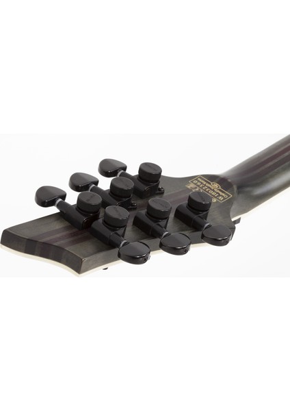 C-1 SLS Evil Twin Elite Elektro Gitar (Mat Siyah)