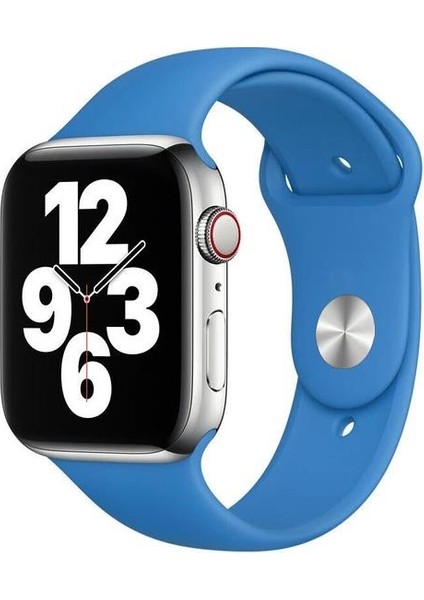 Apple Watch Series SE/10/9/8/7/6/5/4/3 Uyumlu 42mm-41mm-40mm-38mm M/L Silikon Kordon Açık Mavi
