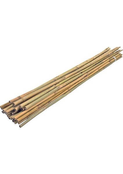 - Bambu Destek Çubuğu 120 cm x 8-10 mm 50 Adet