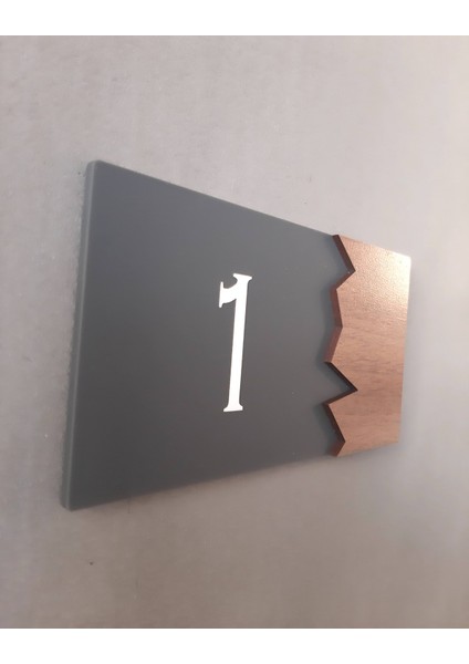 Wooden Serisi Pleksi Kapı Numarası modelleri