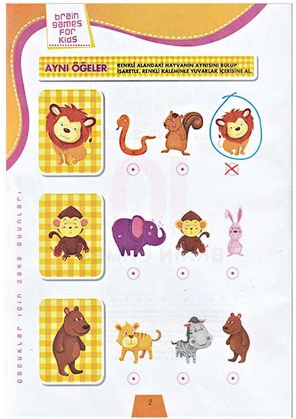 Çocuklar İçin Zeka Soruları (4 Kitap Takım)