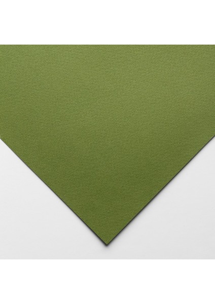 Tızıano Pastel Çizim Kuru Kalem Kağıdı 160 gr 50 x 65 5 Adet Yosun