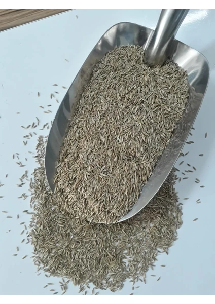 Grass Seed Çim Tohumu 4lü Karışım 500 gr