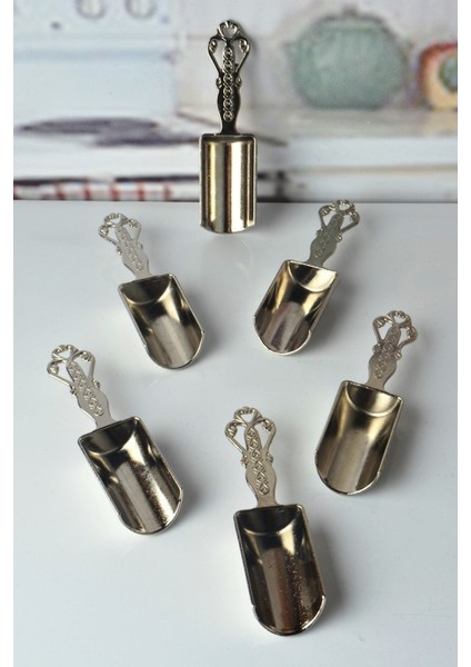 Gümüş Renk Lüks Metal 6'lı Baharat Kaşığı