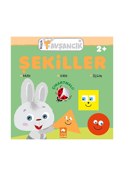 Şekiller - Rasa Dmuchovskiene