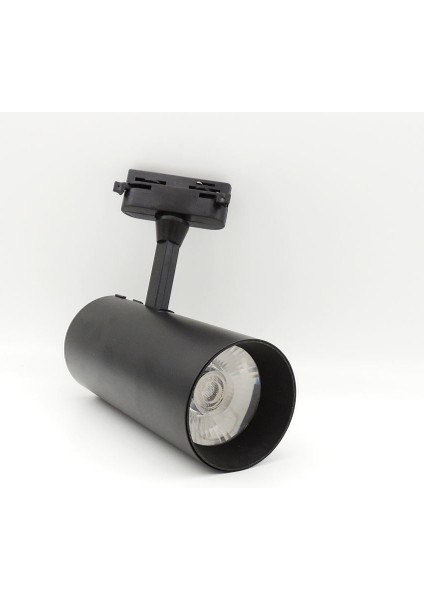 Boru Ray Spot LED Lamba Takımı 1mt Ray 2AD Ray Spot