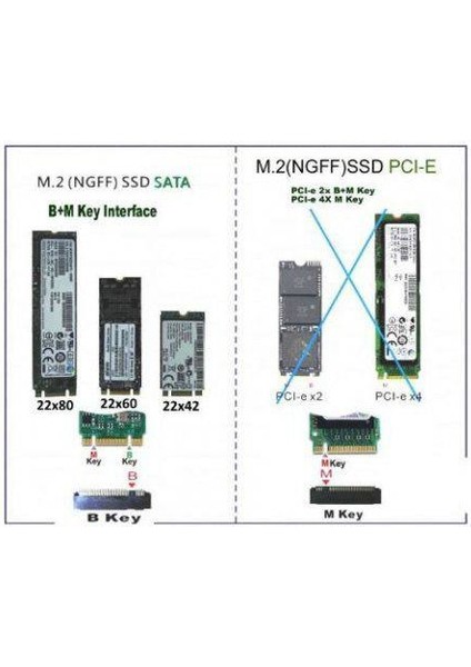 B Key Ngff Sata Kutu Msata Sata Çevirici M2