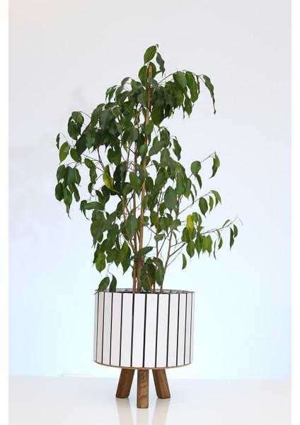 Beyaz Ahşap Ayaklı Yuvarlak Küçük Saksı Dekoratif Çiçeklik Balkon Bahçe Ofis Salon Aksesuarı