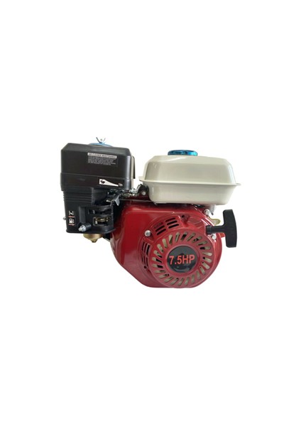 Benzinli Motor 7,5 Hp