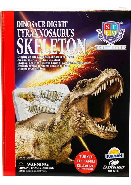 Dinozor Kazma Kiti Tyrannosaurus Iskeleti