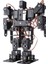 13 Eksenli Insansı Robot - Humanoid Robot 2