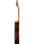 Friederich CD PF Klasik Gitar (Natural) 3