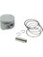 Crypton Piston Jcc 50,25 mm (Std+1,25) 1