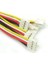 Grove 4 Pin Dişi Jumper Kablo 5'li Adet 2