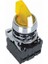 ISM-BK135M5 220V Metal Sarı Işıklı Mandal Buton 1-0-2 1