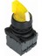 ISP-AK125M5 220V Sarı LED Işıklı Mandal Buton 1