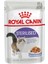Sterilised Jelly Kısırlaştırılmış Kedi Konserve 85 gr 12'li 1