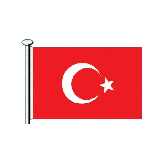 Saray Türk Bayrağı  20X30