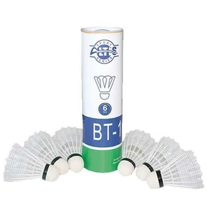 BT-10 Badminton Topu (6 Adet)