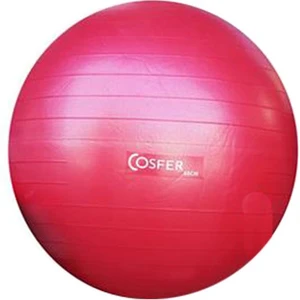 55 Cm Poşetli Pilates Topu Kullanma Klavuzlu
