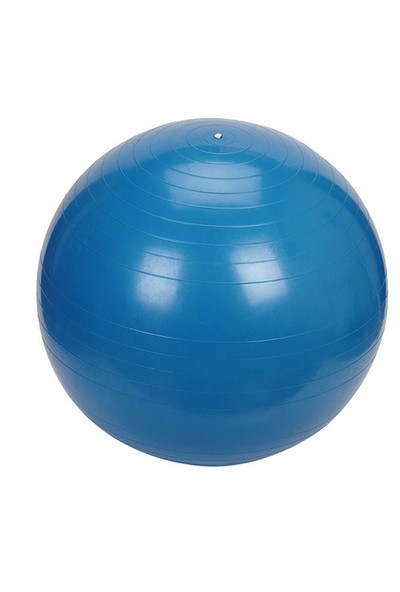 Proform 55 cm Lüx Pilates Topu Mavi P355