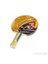 Timo Boll Gold Raket 1