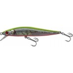ef&fe Japanese Vision Rapala 8cm 10GR - HG2482