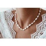 Accessory Empire Deniz Kabuğu Kombin Kolye