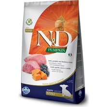 N&D Balkabaklı Kuzu Etli Küçük Irk Yavru Köpek Maması 2.5 kg