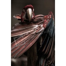 Bordo Sanat Bordosanat 70 x 105 cm Papağan Dekoratif Duvar Kanvas Tablo