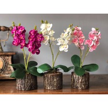 Nettenevime Yapay Çiçek 3 Adet Orkide Odun Saksılı Hediyelik Çiçek Gönder