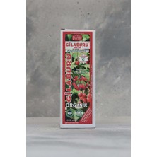 Kayseri Pazarı Organik Gilaburu Nektarı 1 lt